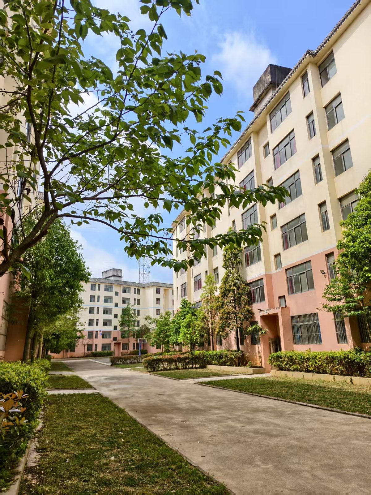 云南曲靖师宗康养长租社区外景:楼栋、绿化与开阔天空